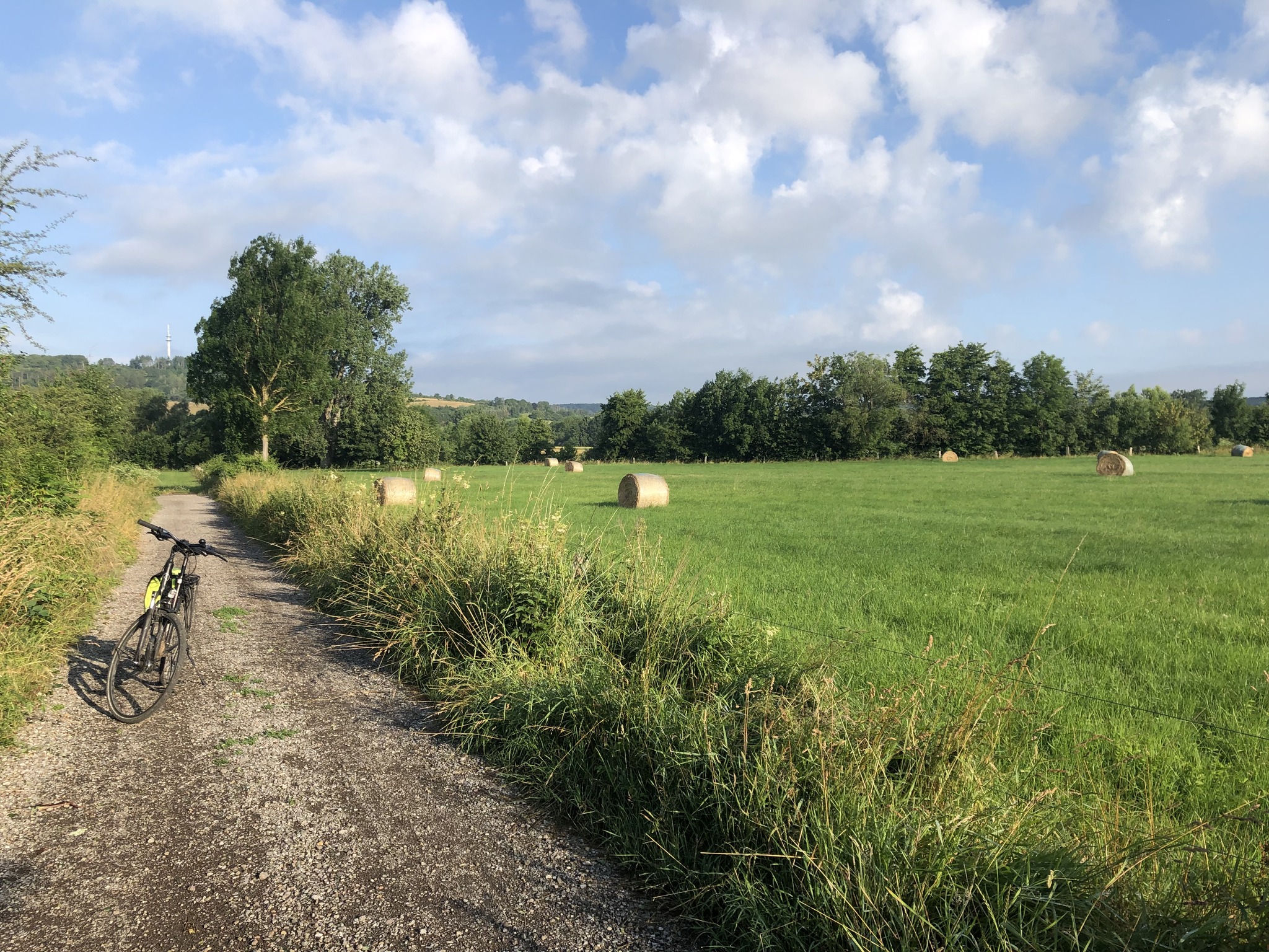 Die parkrunFamilie bekommt Zuwachs Doppelpremiere Mitte Juli 2023