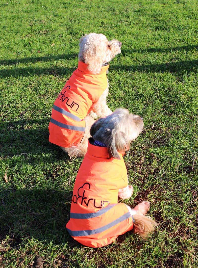 7 Benefits of Dogs at parkrun parkrun AU Blog