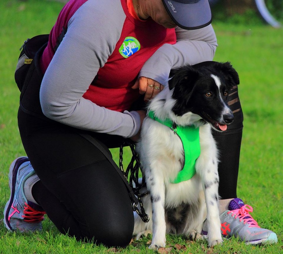 Benefits of dogs at parkrun parkrun NZ Blog