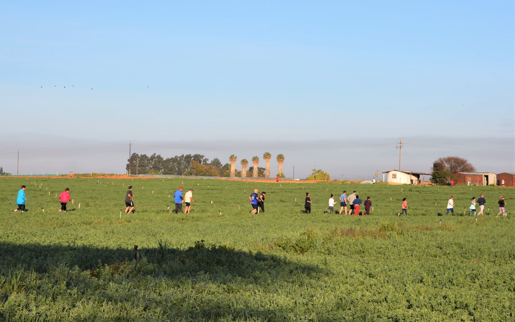 blog.parkrun.com