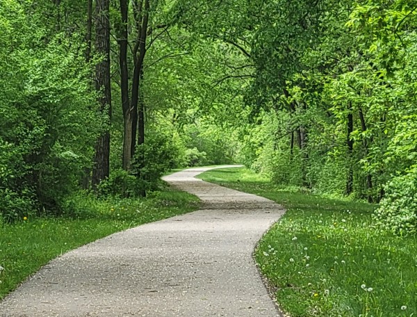 Building Community and Wellness in Cottage Grove | parkrun US Blog