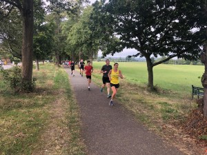 Run report 31-8 (11)