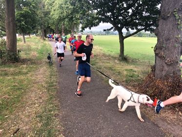 Run report 31-8 (13)