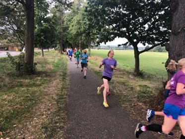 Run report 31-8 (14)
