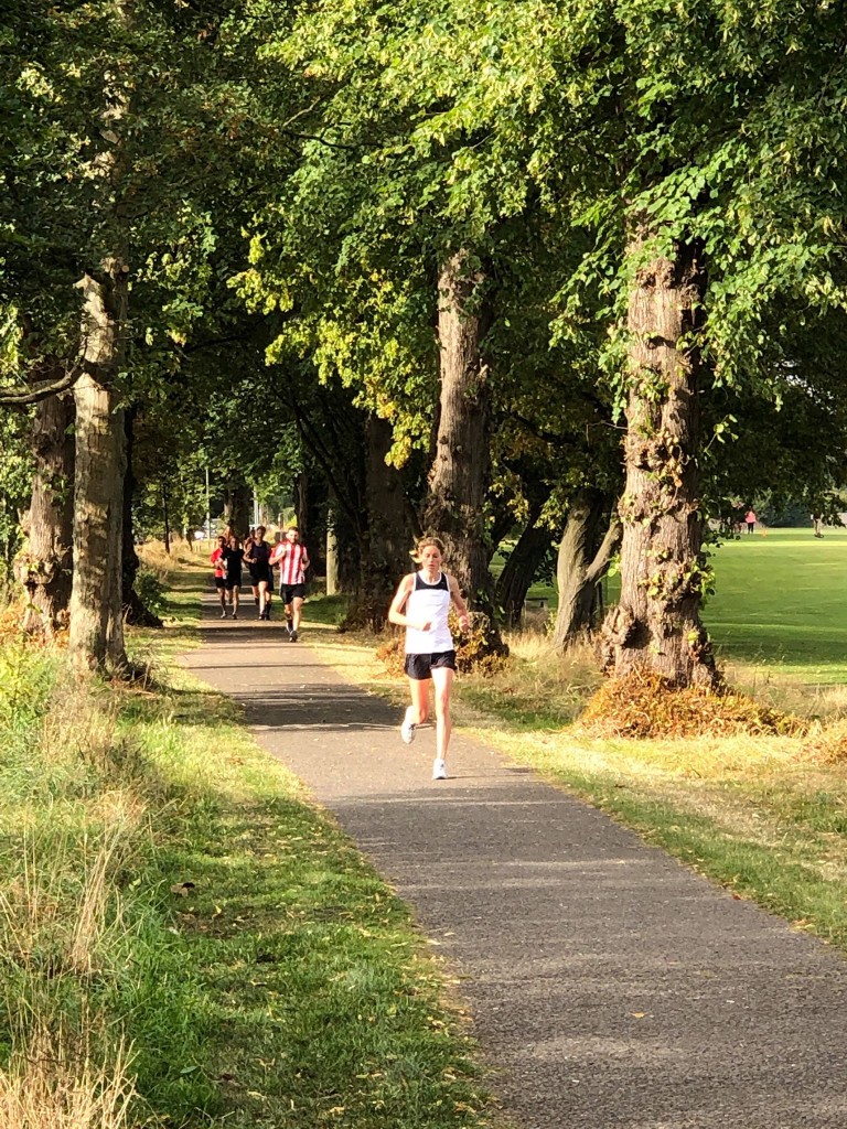 Run report 31-8 (8)