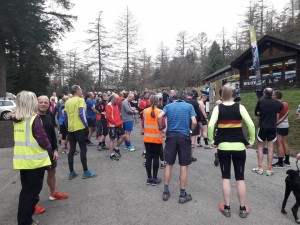Run Brief