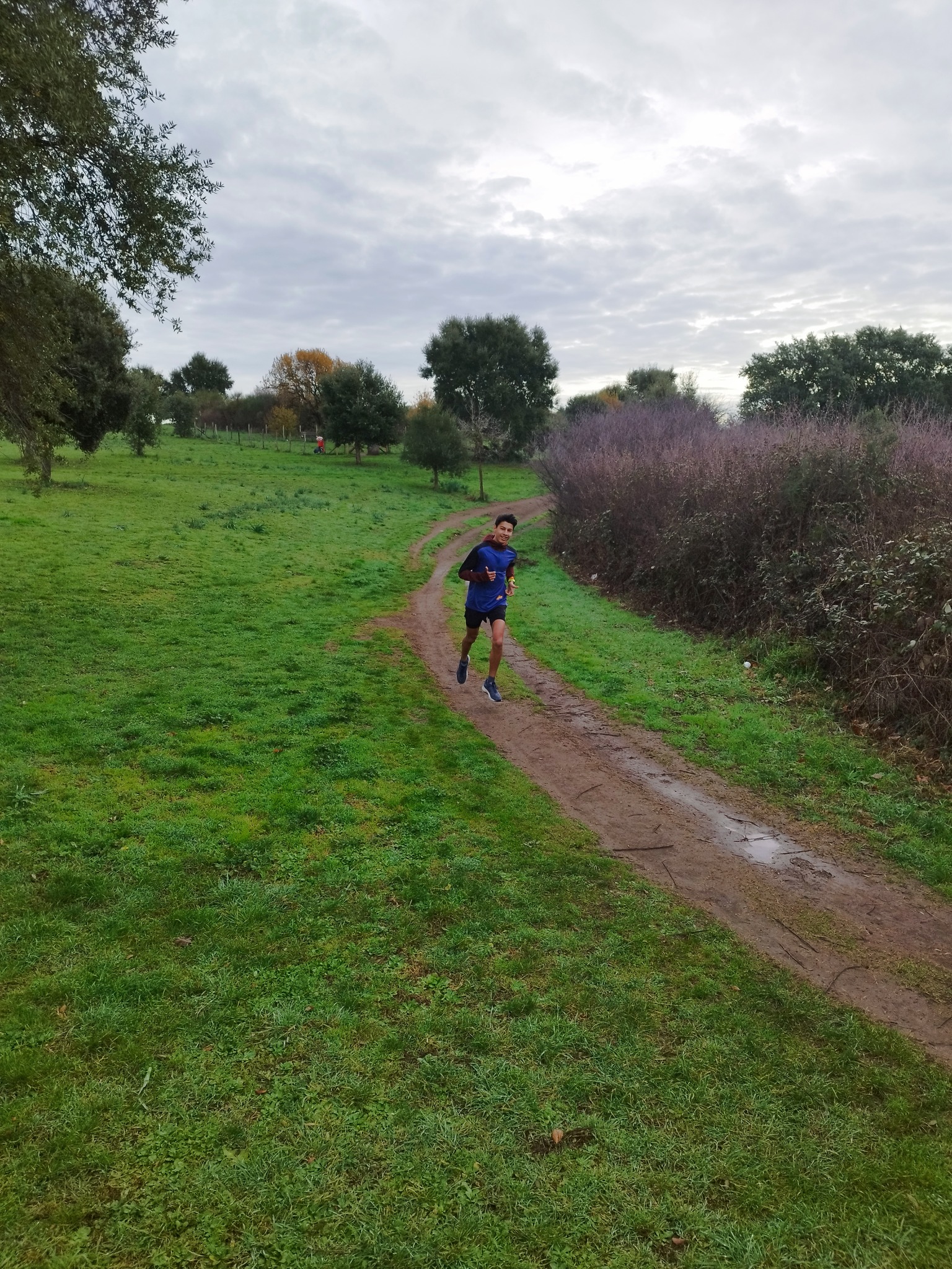 Roma Pineto parkrun #232: 1 gennaio 2024. Ri-iniziamo subito | Roma ...