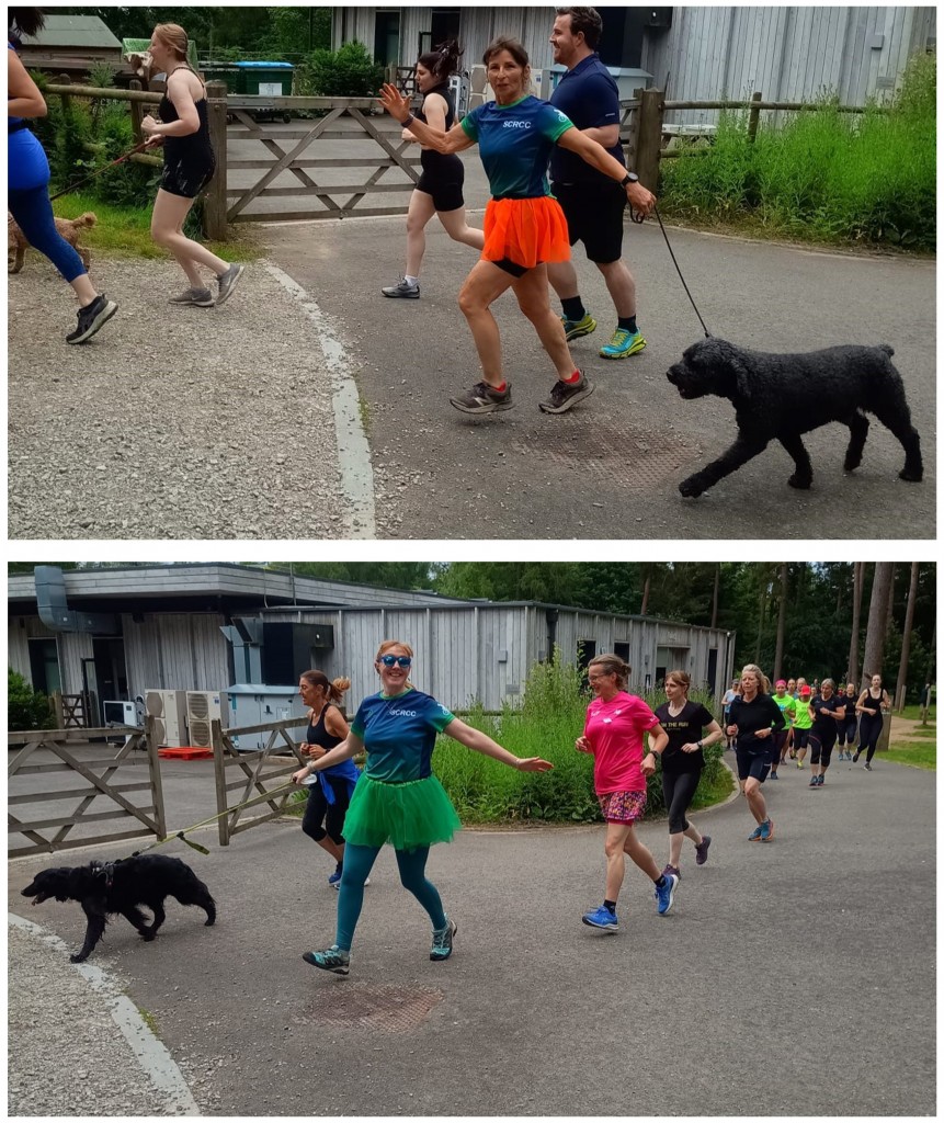 Event 231: 22 June 2024 – Two to the power of Tutu | Wendover Woods parkrun