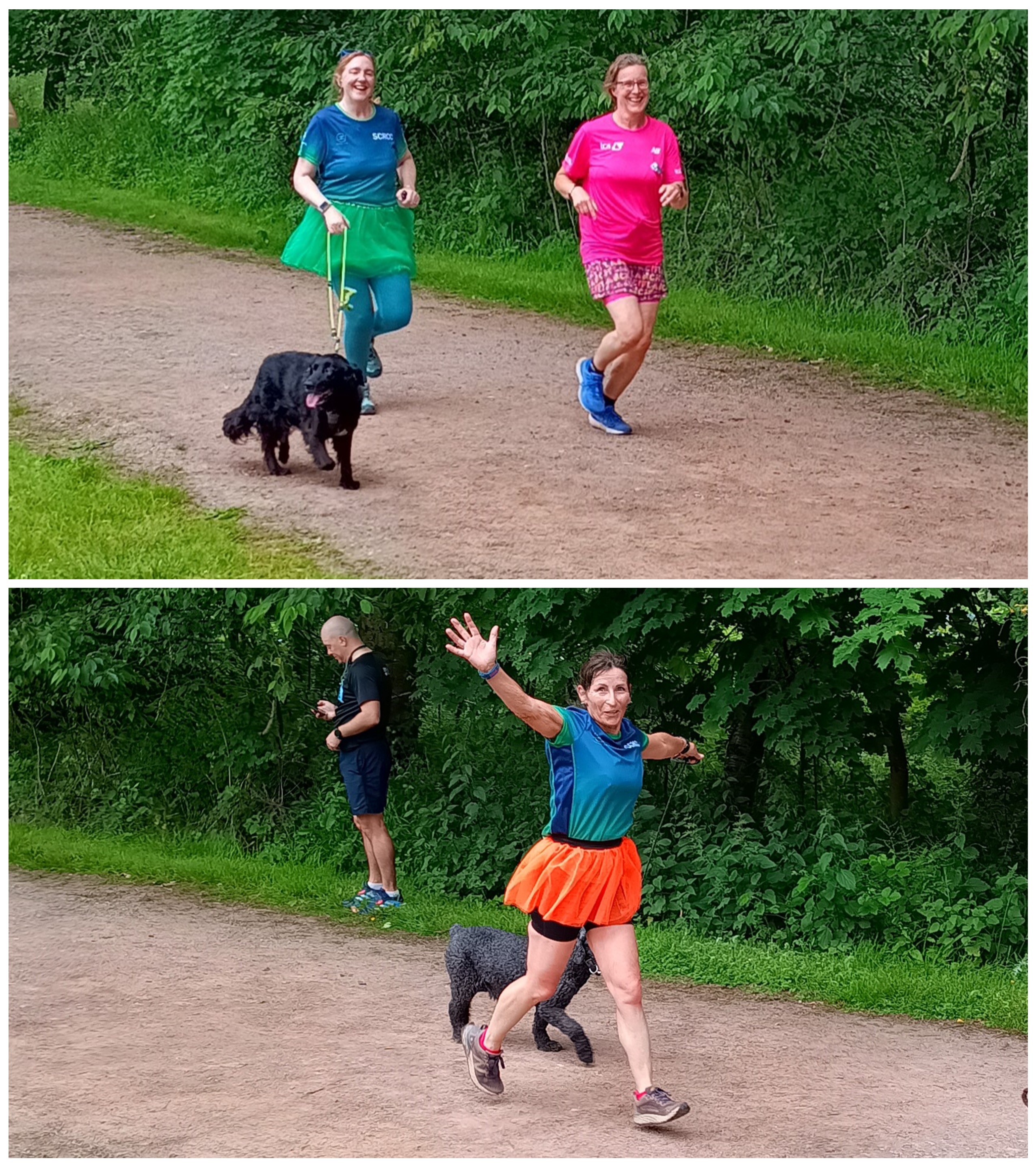 Event 231: 22 June 2024 – Two to the power of Tutu | Wendover Woods parkrun