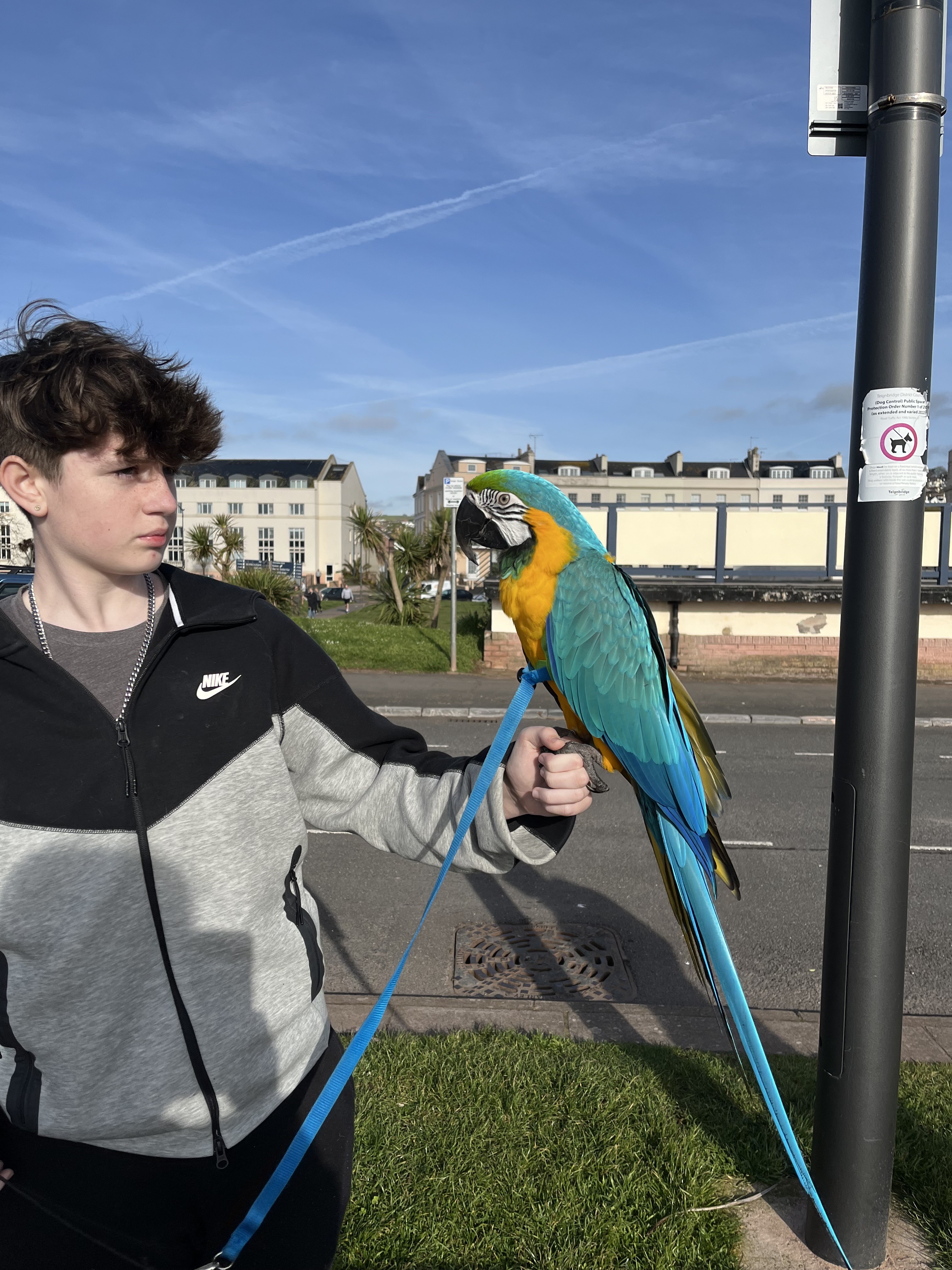 Teignmouth Promenade parkrun – Event number #209 – 13th April 2024 – A ...