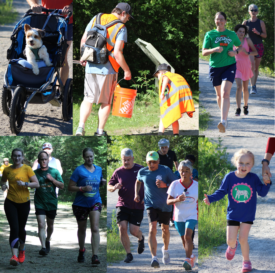 6/15/2024 Lillie parkrun #233: Sesquipedalianism and Alliteration ...
