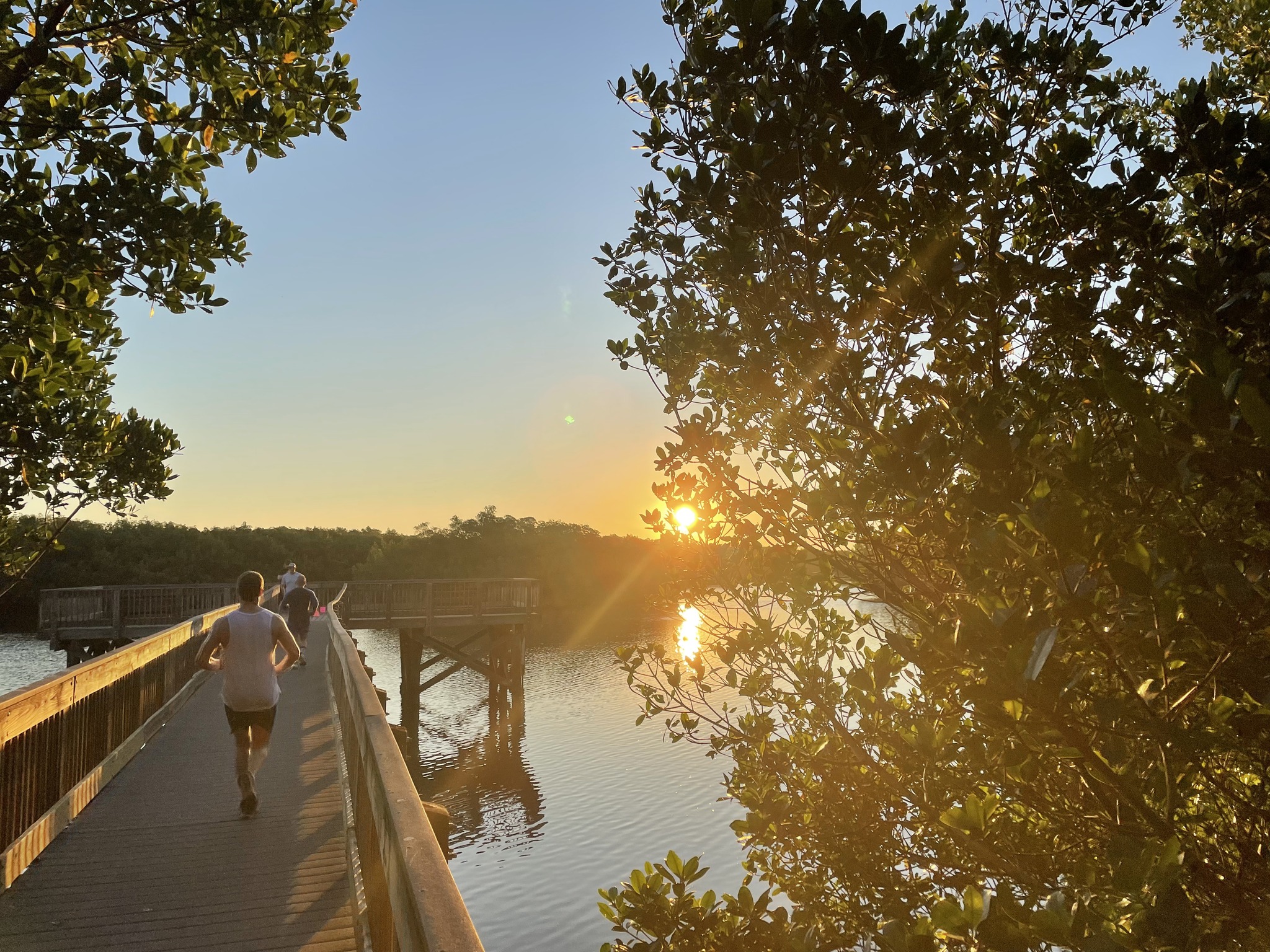 Run Report for Event No. 98 (101522) Weedon Island Preserve parkrun