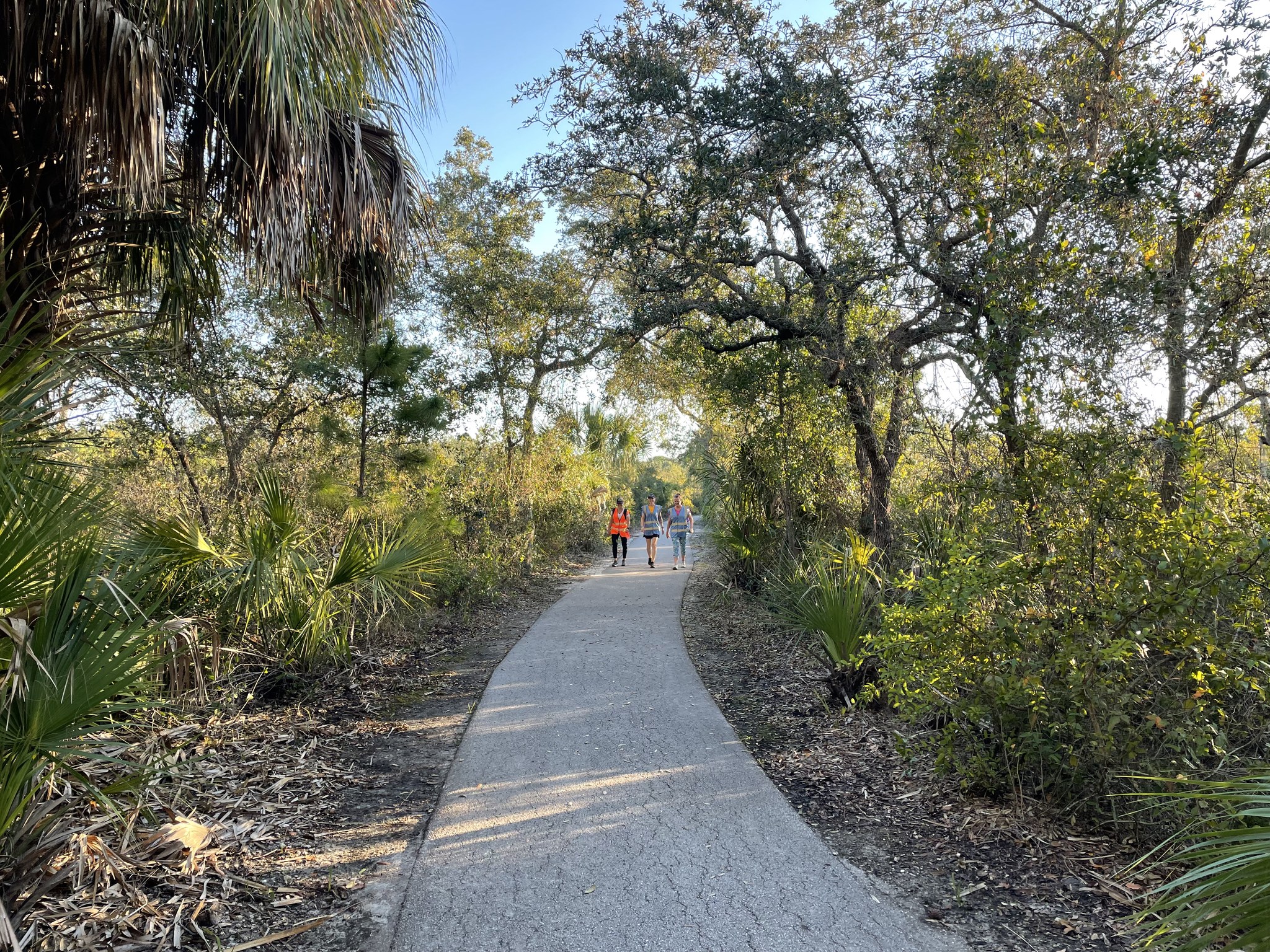 Run Report for Event No. 98 (101522) Weedon Island Preserve parkrun