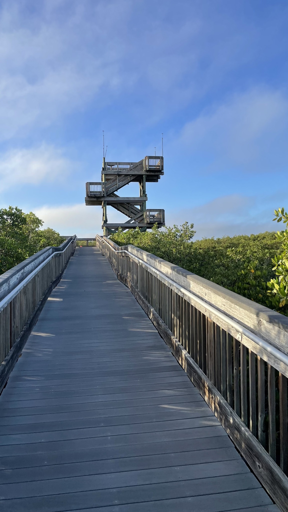 news Weedon Island Preserve parkrun