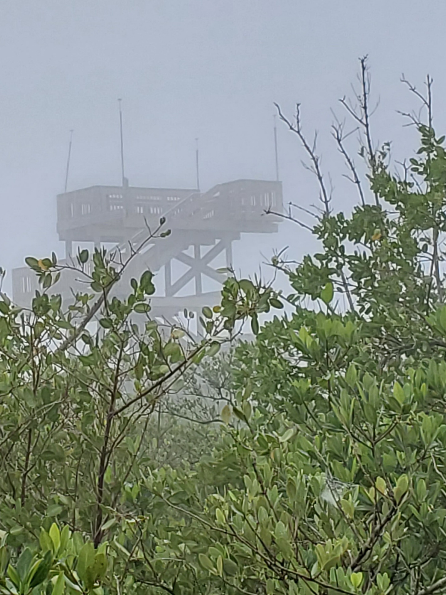 news Weedon Island Preserve parkrun