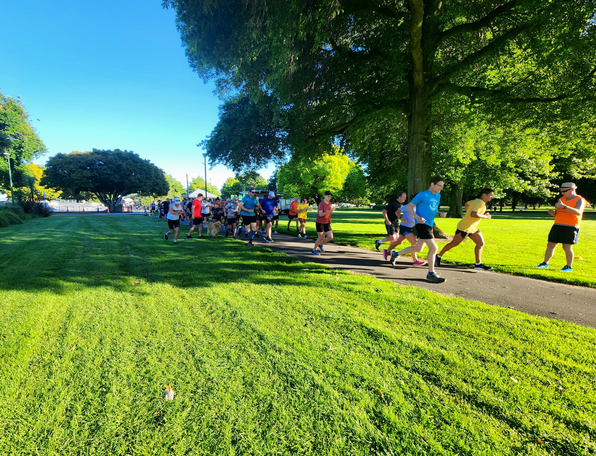 Flaxmere parkrun Report, Event number 156, 4th February 2023 Flaxmere
