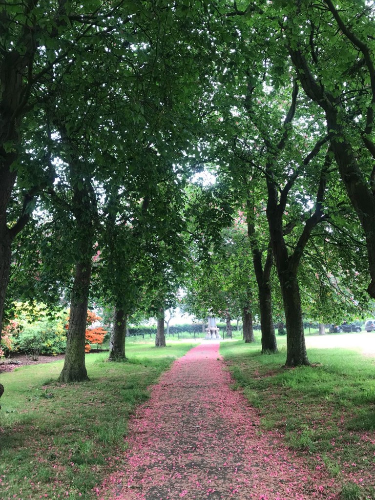 tree lined