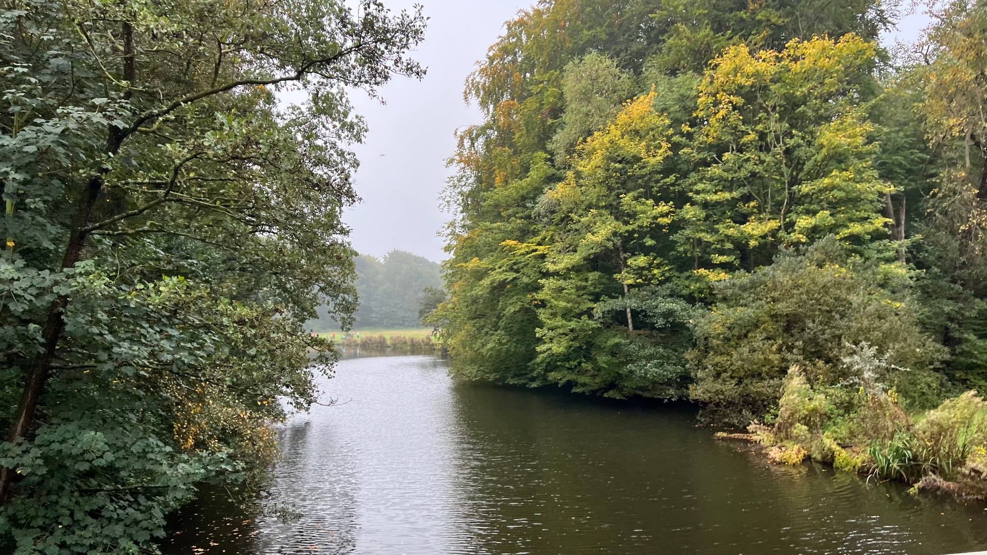 Run Report Event 55 THE BIG ONE Amsterdamse Bos Parkrun