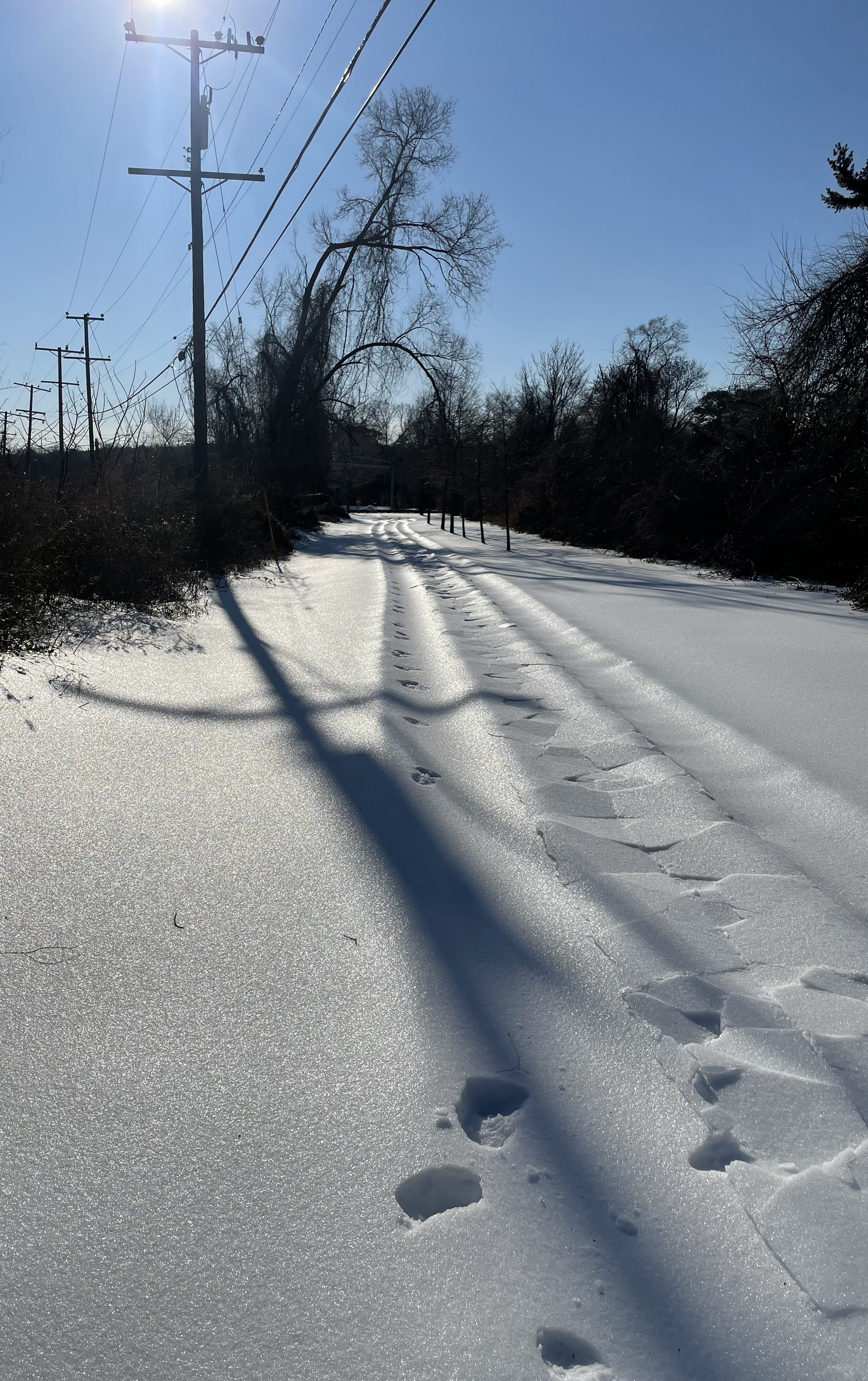 Path Conditions Trail Condition – Photo Update as of January 28, 2026 | Baltimore and ...