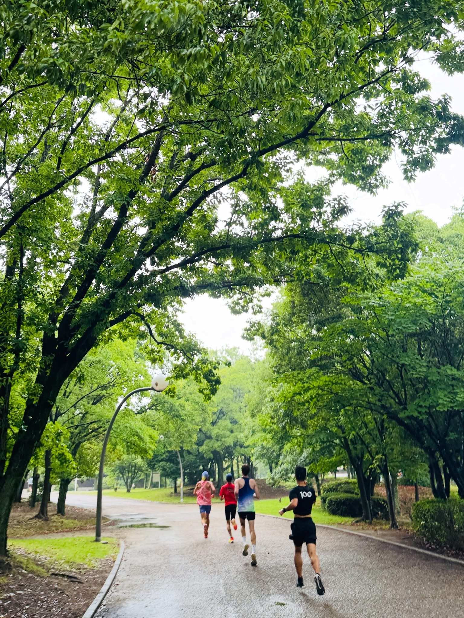228 20 Jun 2026 | 鶴見緑地parkrun