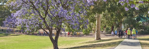 Homestead parkrun