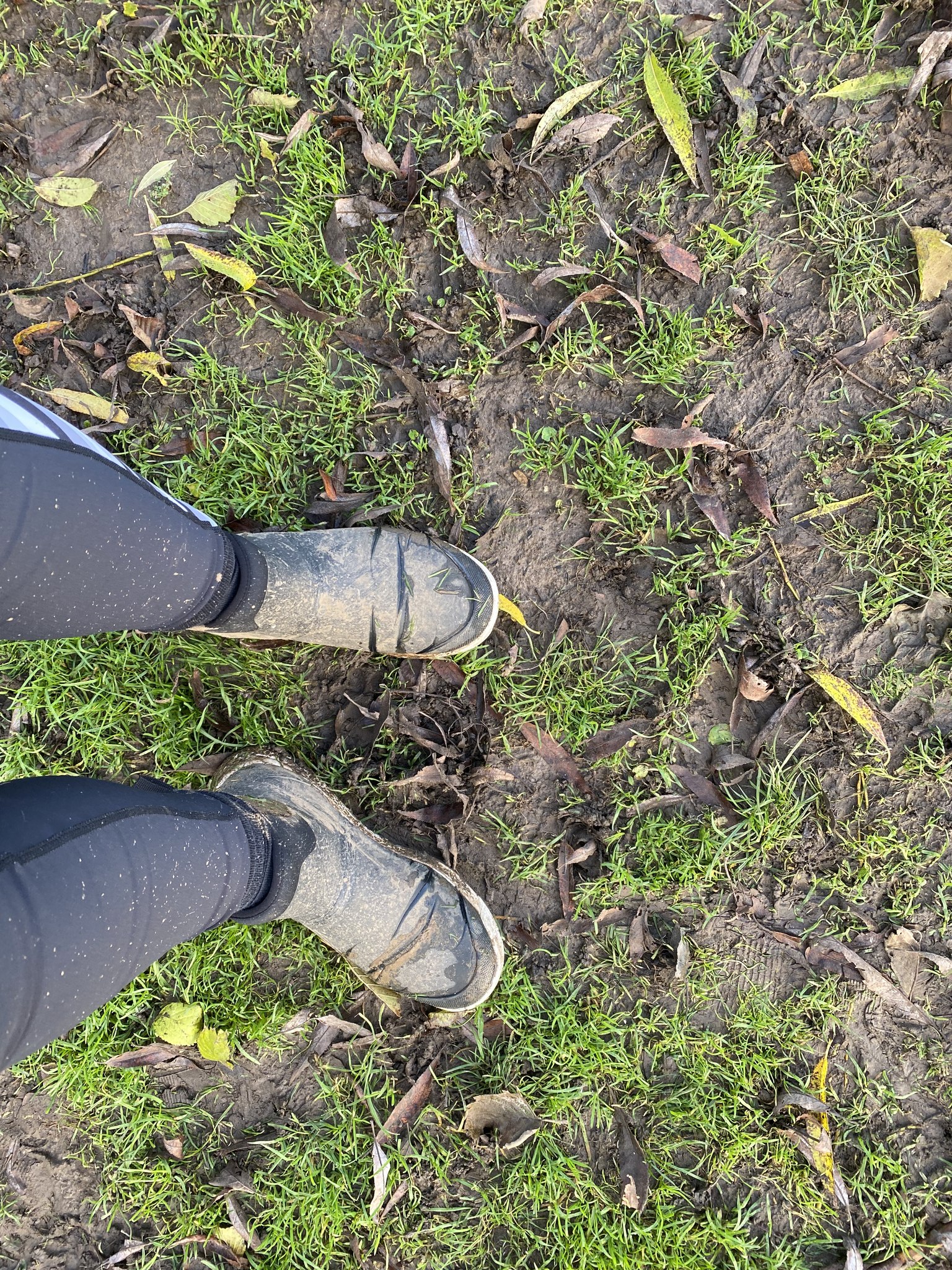 Running Bit Event #28 – Saturday 19th November 2022 | Ashbourne Recreation Ground ...