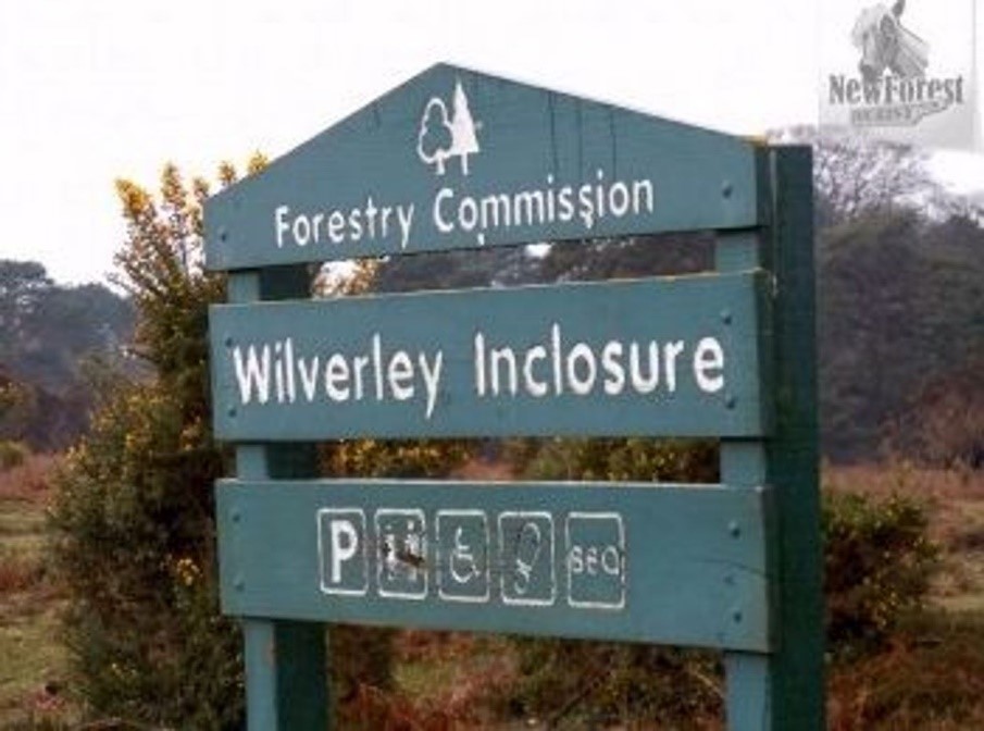 Brockenhurst parkrun 370 12th March 2022 Brockenhurst parkrun