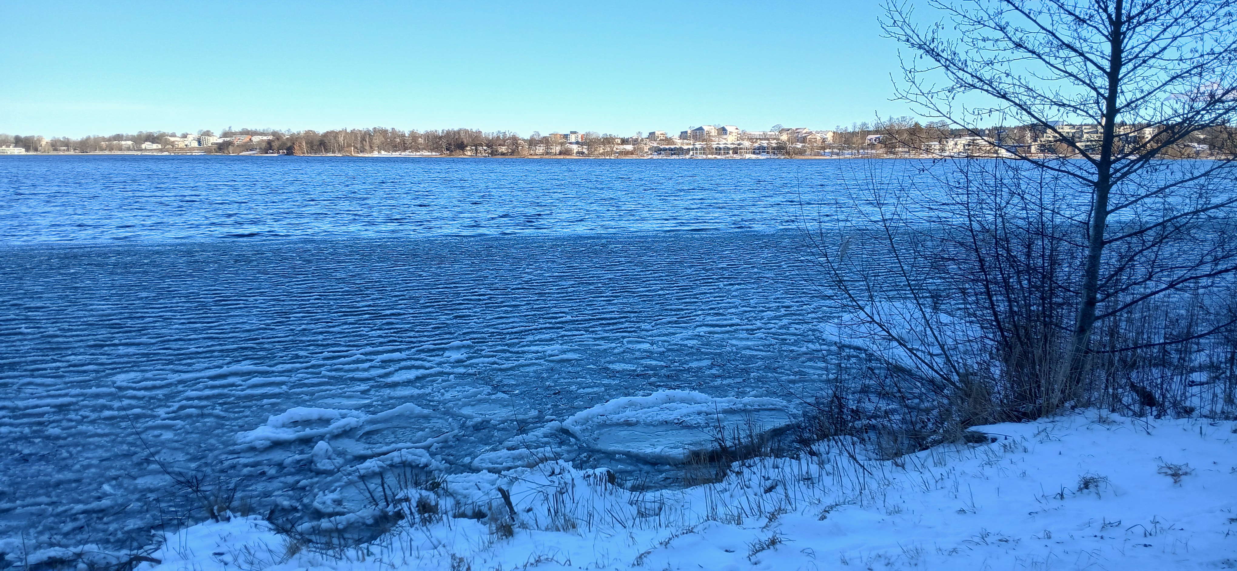 From Our Parkrun Correspondent in Sweden | Ara Harakeke parkrun