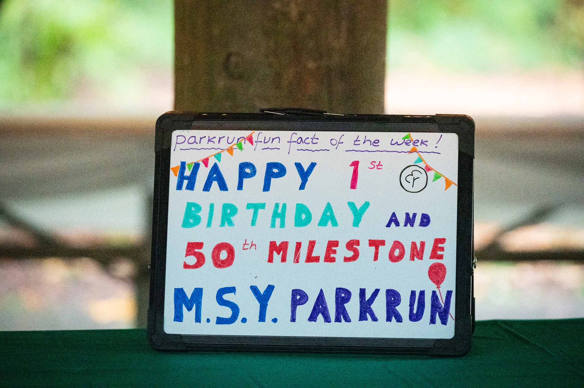 parkrun report #50- 26 October 2024 | Mary S. Young parkrun