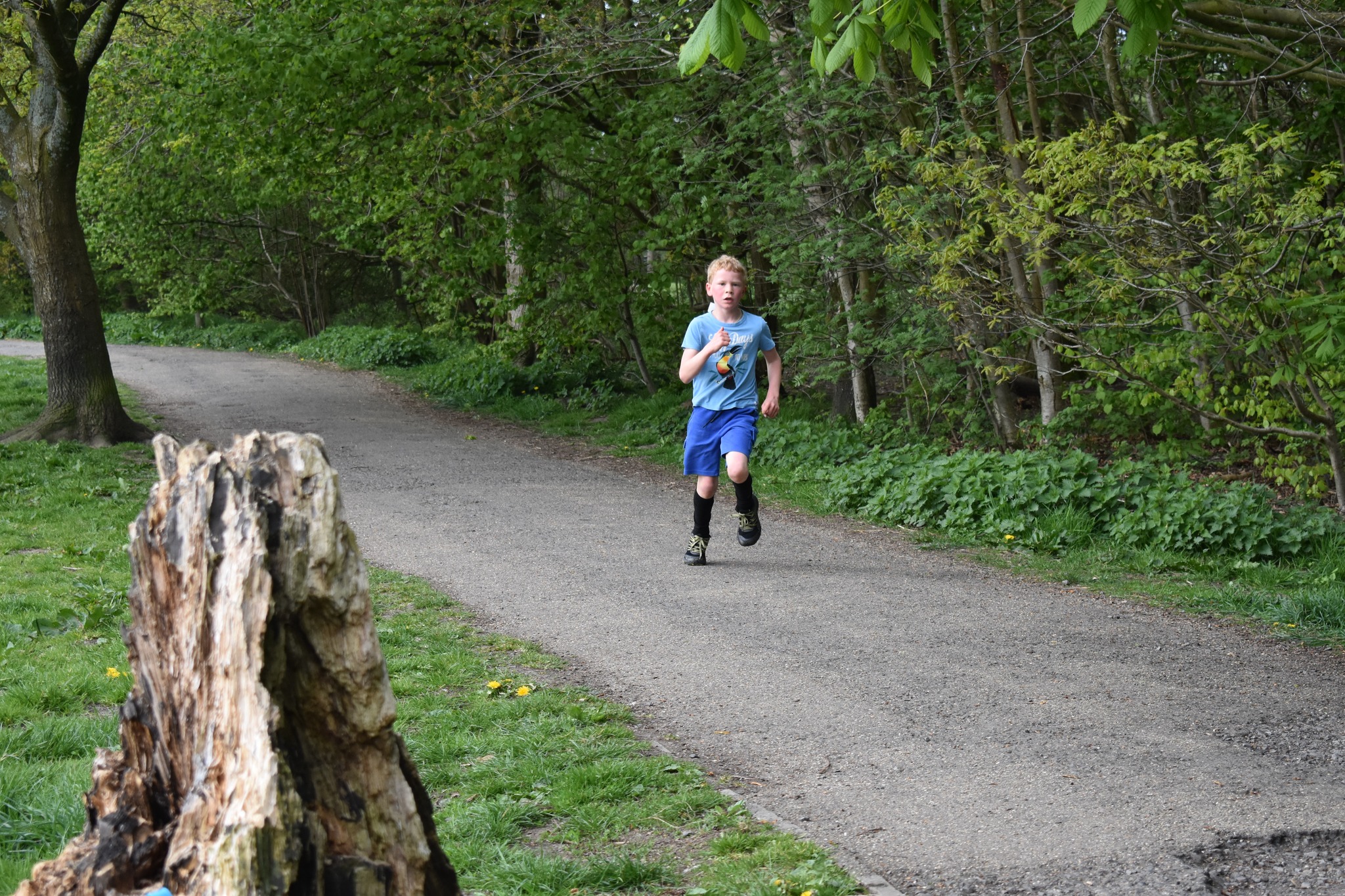 Witton Park Junior parkrun event #17 – 27 April 2025 | Witton Park ...