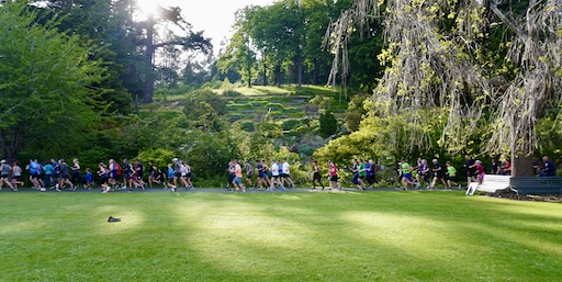 4th January 2025 Dunedin Parkrun 