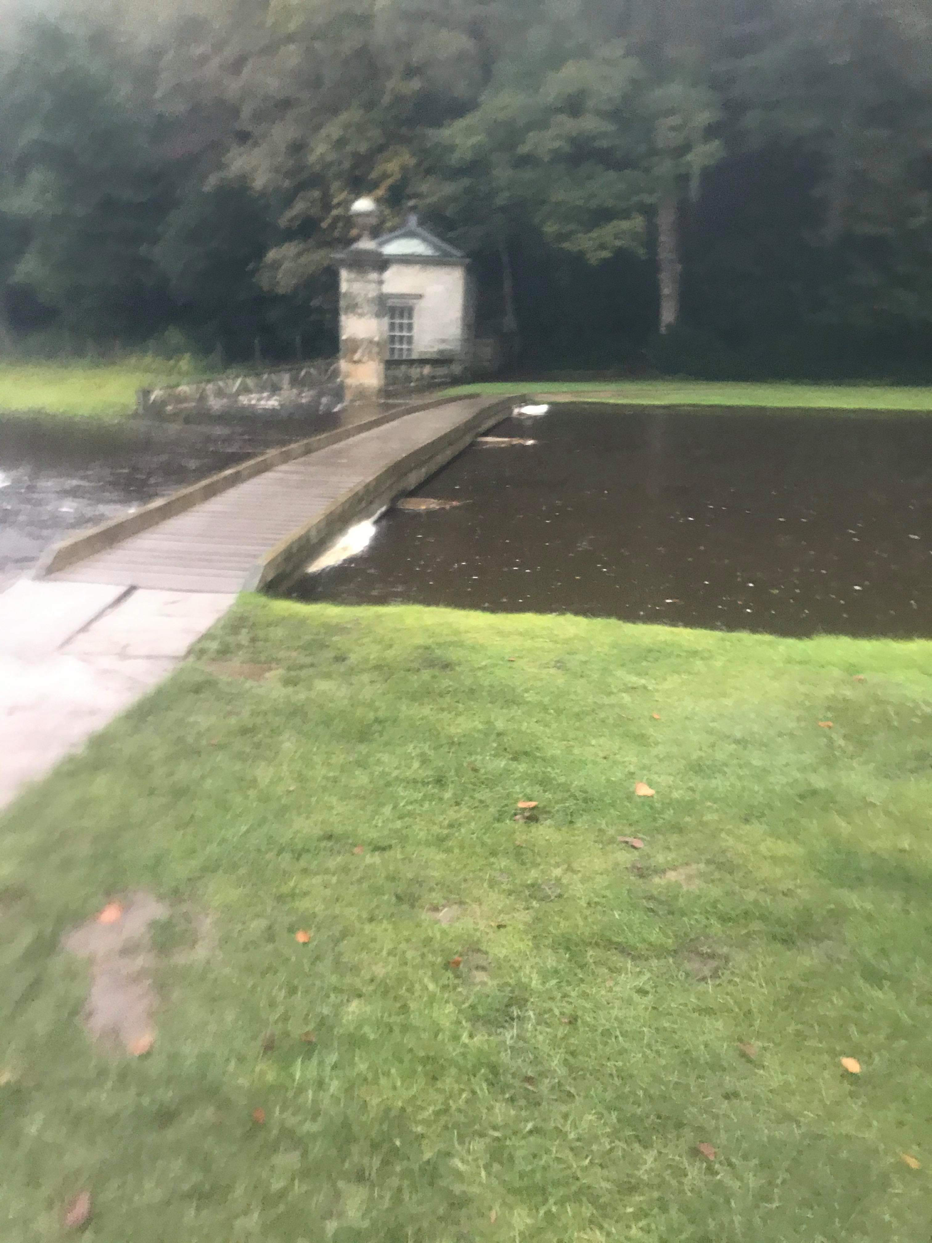 Run Report for Fountains Abbey parkrun 285, 26 October 2019 Fountains Abbey parkrun