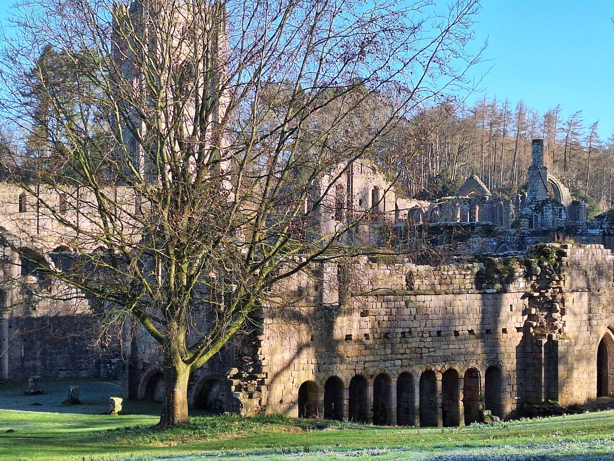 news Fountains Abbey parkrun