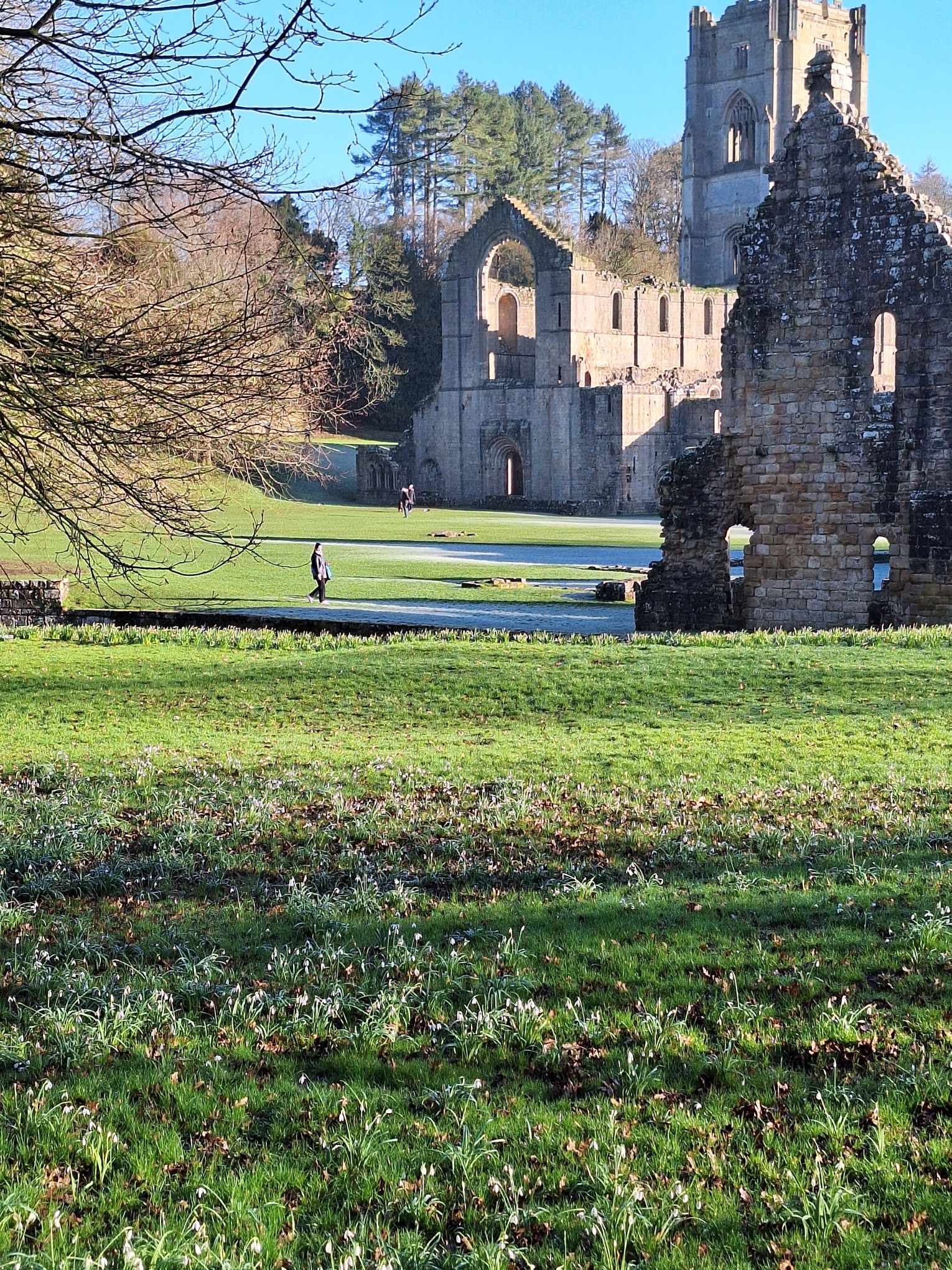 news Fountains Abbey parkrun