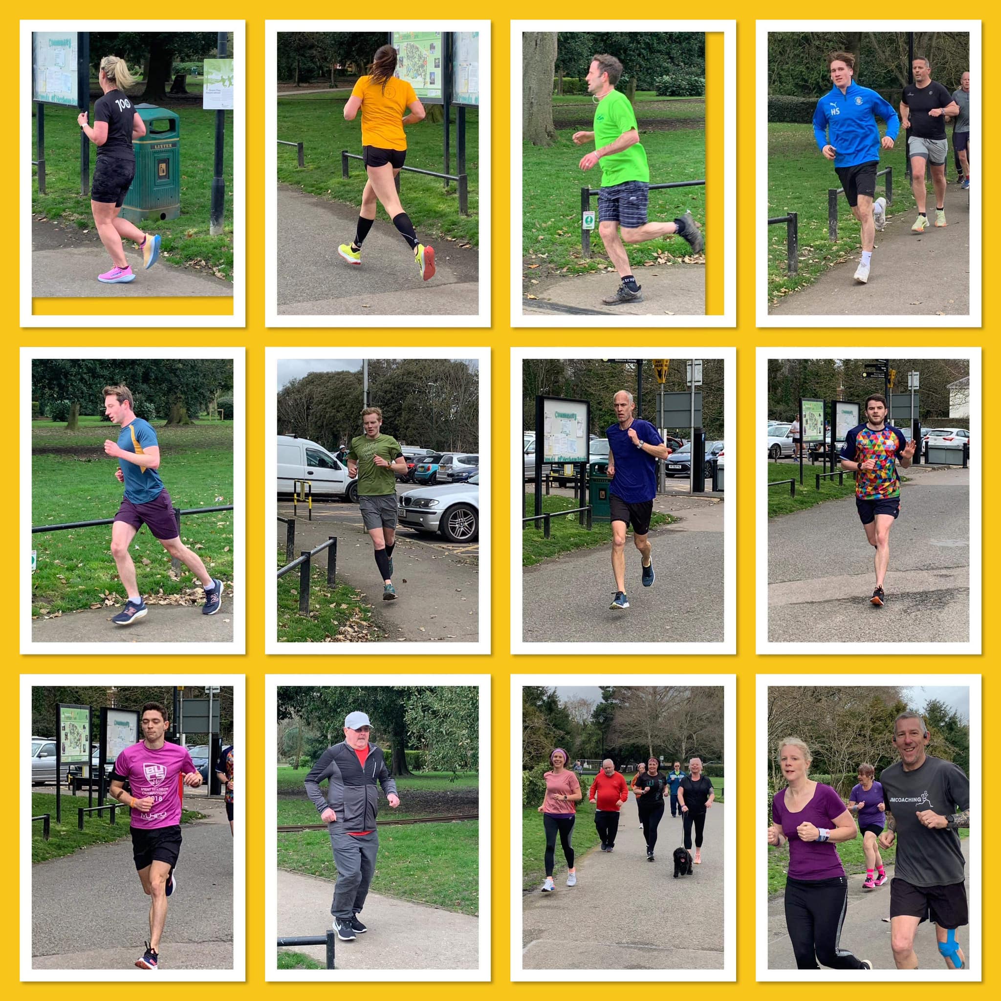 news Bognor Regis parkrun