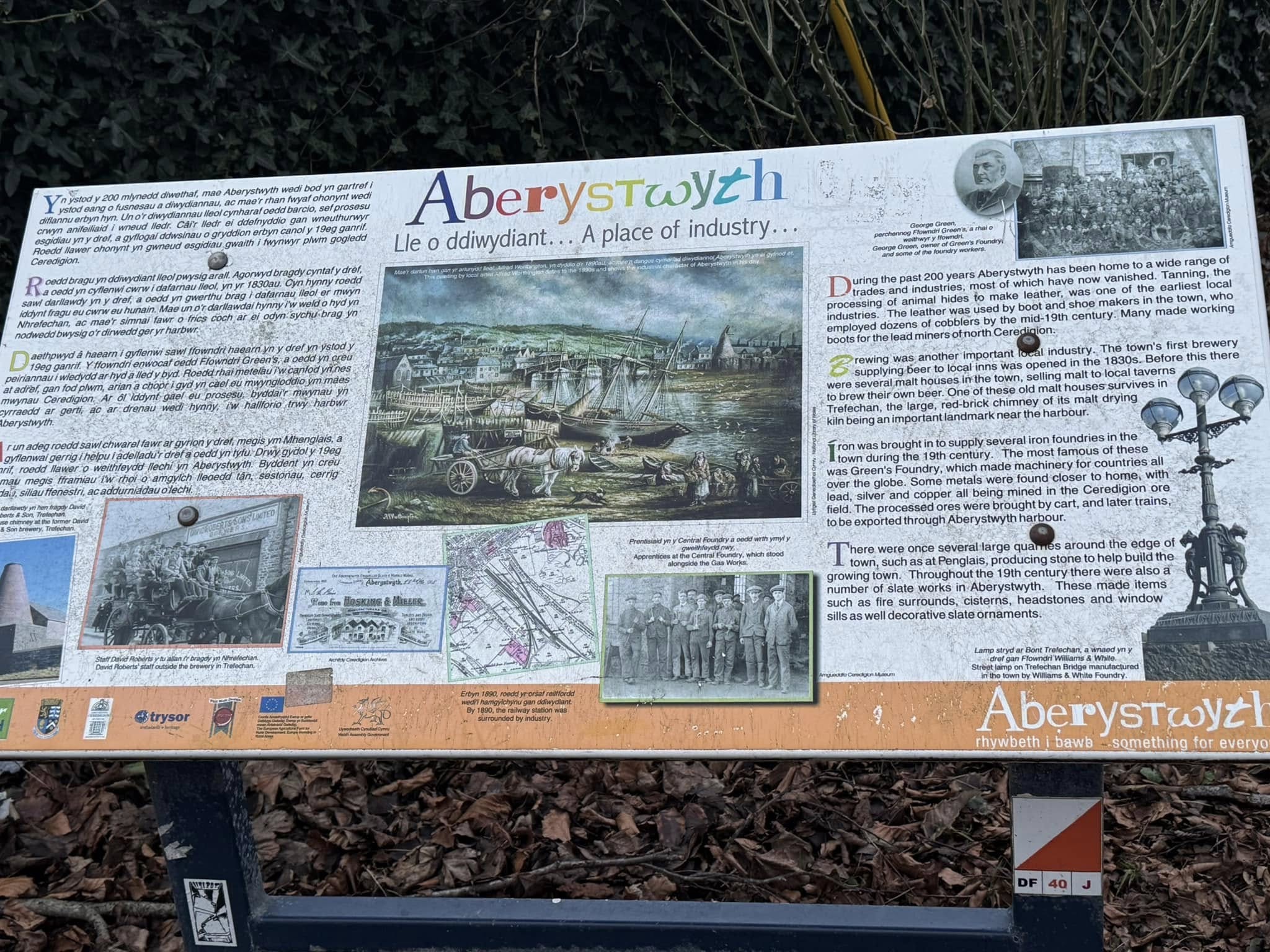 Run Report- Aberystwyth parkrun-11-01-2025 | Aberystwyth parkrun