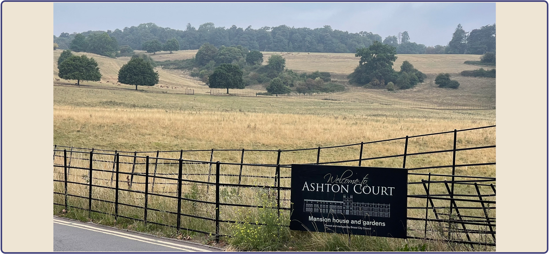 Marmalade, the Met Office, and Milestones Ashton Court parkrun