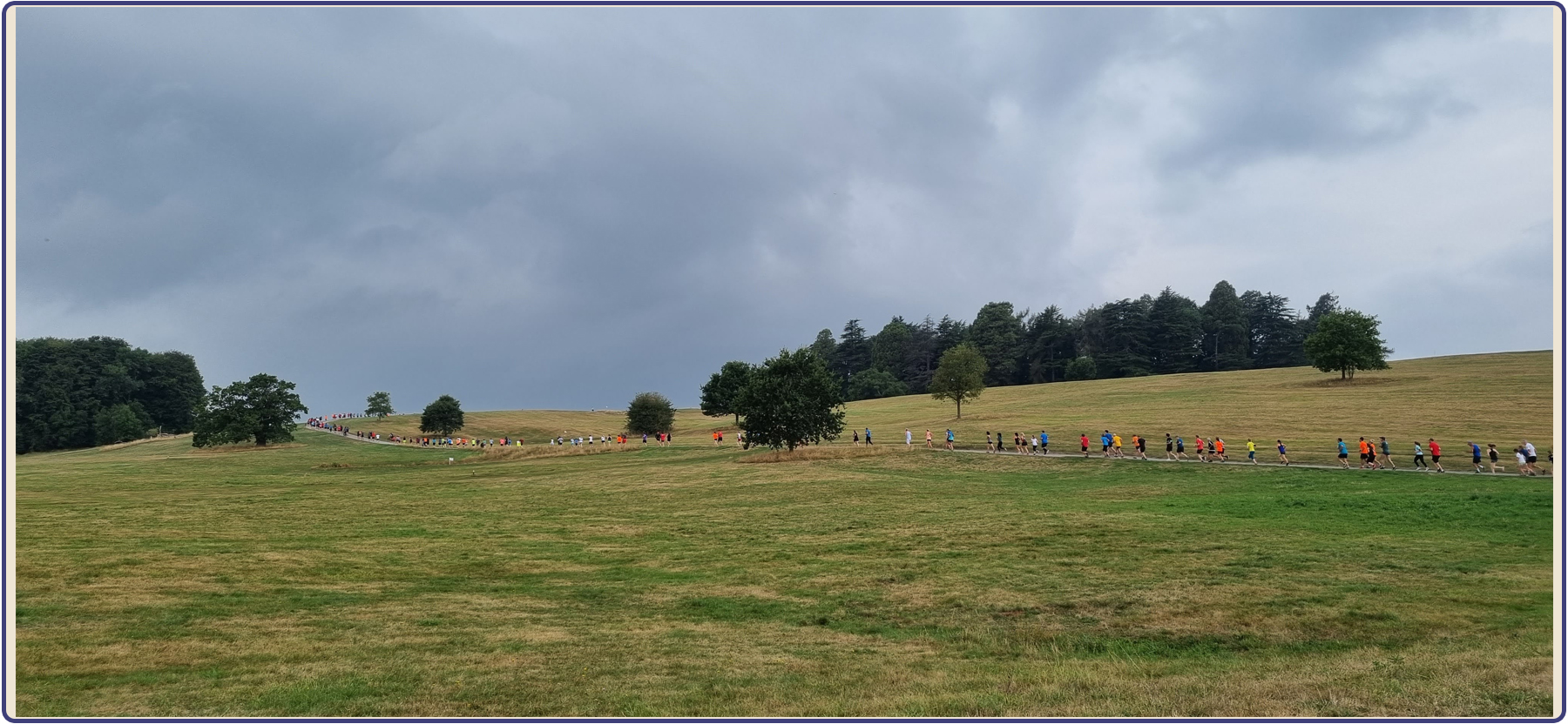 Marmalade, the Met Office, and Milestones Ashton Court parkrun