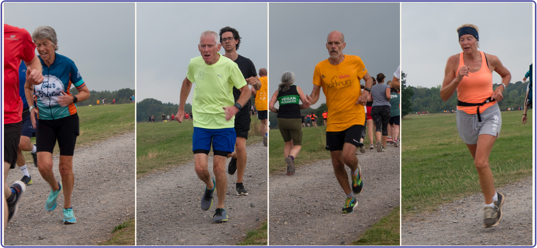 Marmalade, the Met Office, and Milestones Ashton Court parkrun