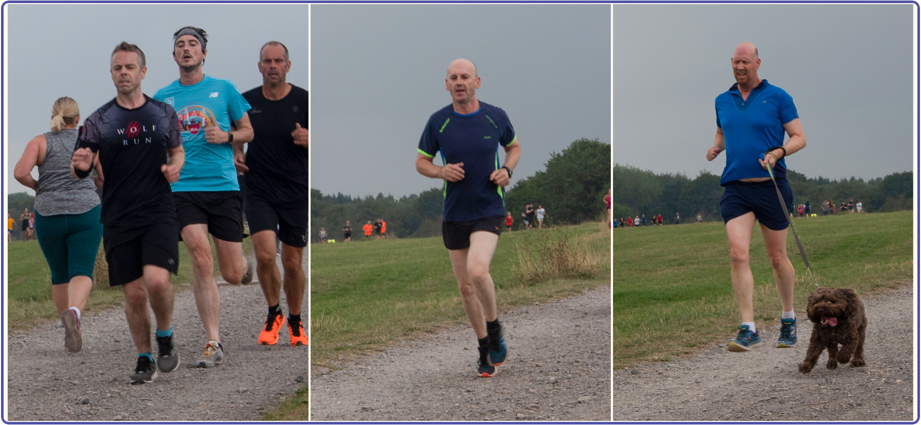 Marmalade, the Met Office, and Milestones Ashton Court parkrun