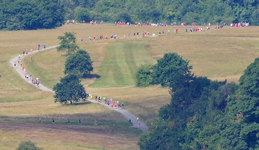 Course Ashton Court Parkrun course-ashton-court-parkrun