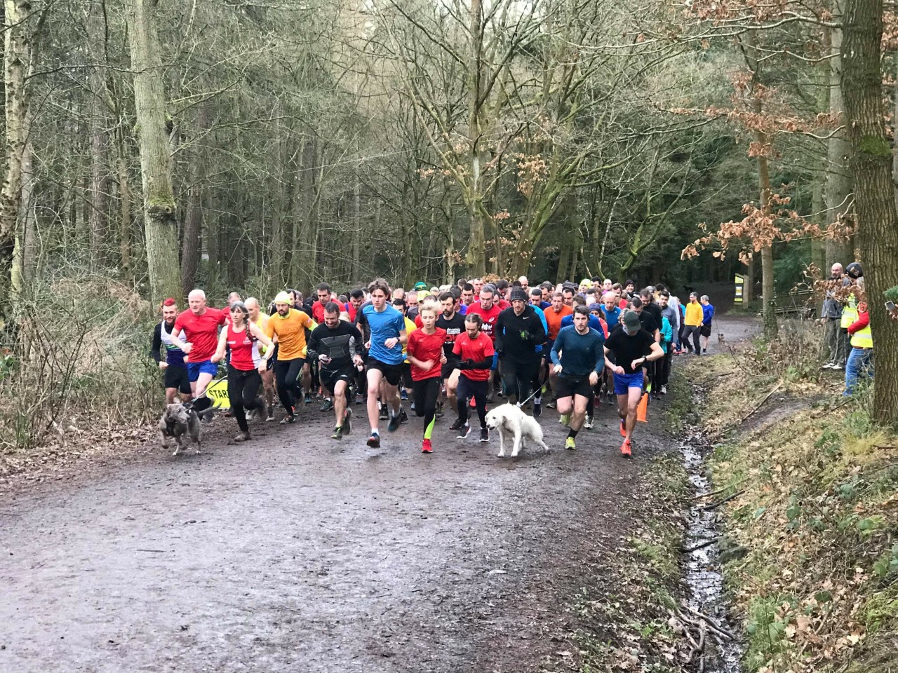 26 01 2019 wyre forest parkrun 176 jocelyn celebrates 100 parkruns wyre forest parkrun 26 01 2019 wyre forest parkrun 176 jocelyn celebrates 100 parkruns wyre forest parkrun