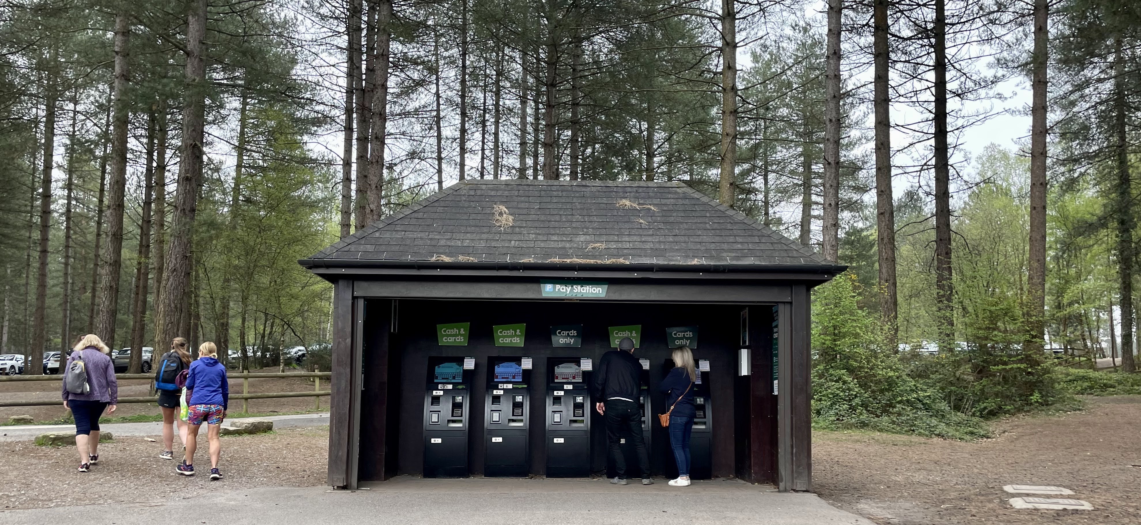 news Moors Valley parkrun