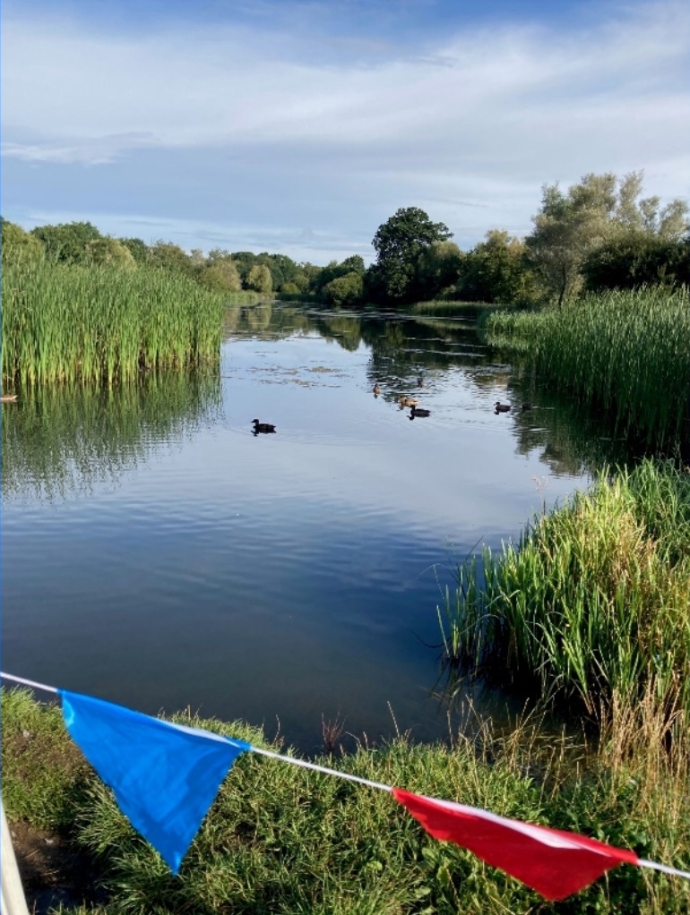 Moors Valley parkrun 323 Moors Valley parkrun