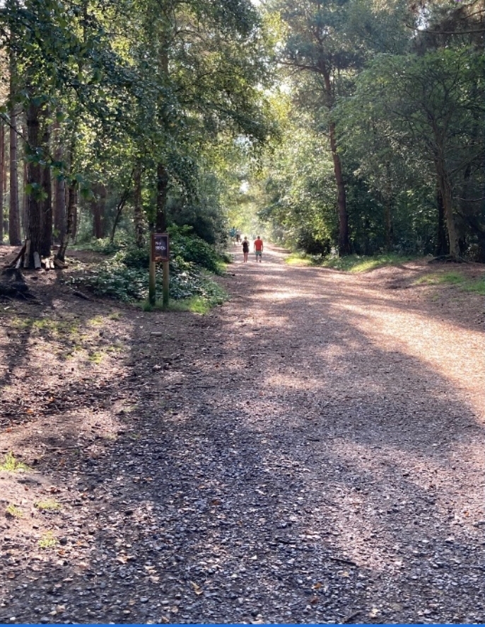 Moors Valley parkrun 323 Moors Valley parkrun