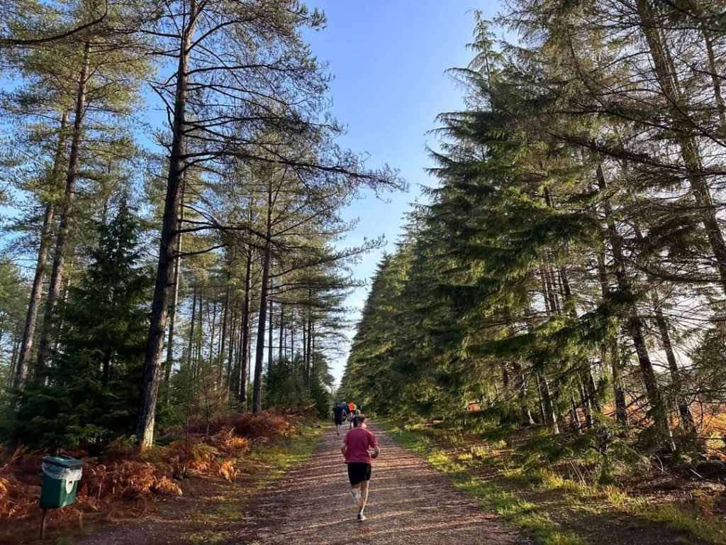 news Moors Valley parkrun