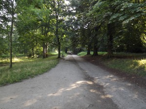 The Avenue