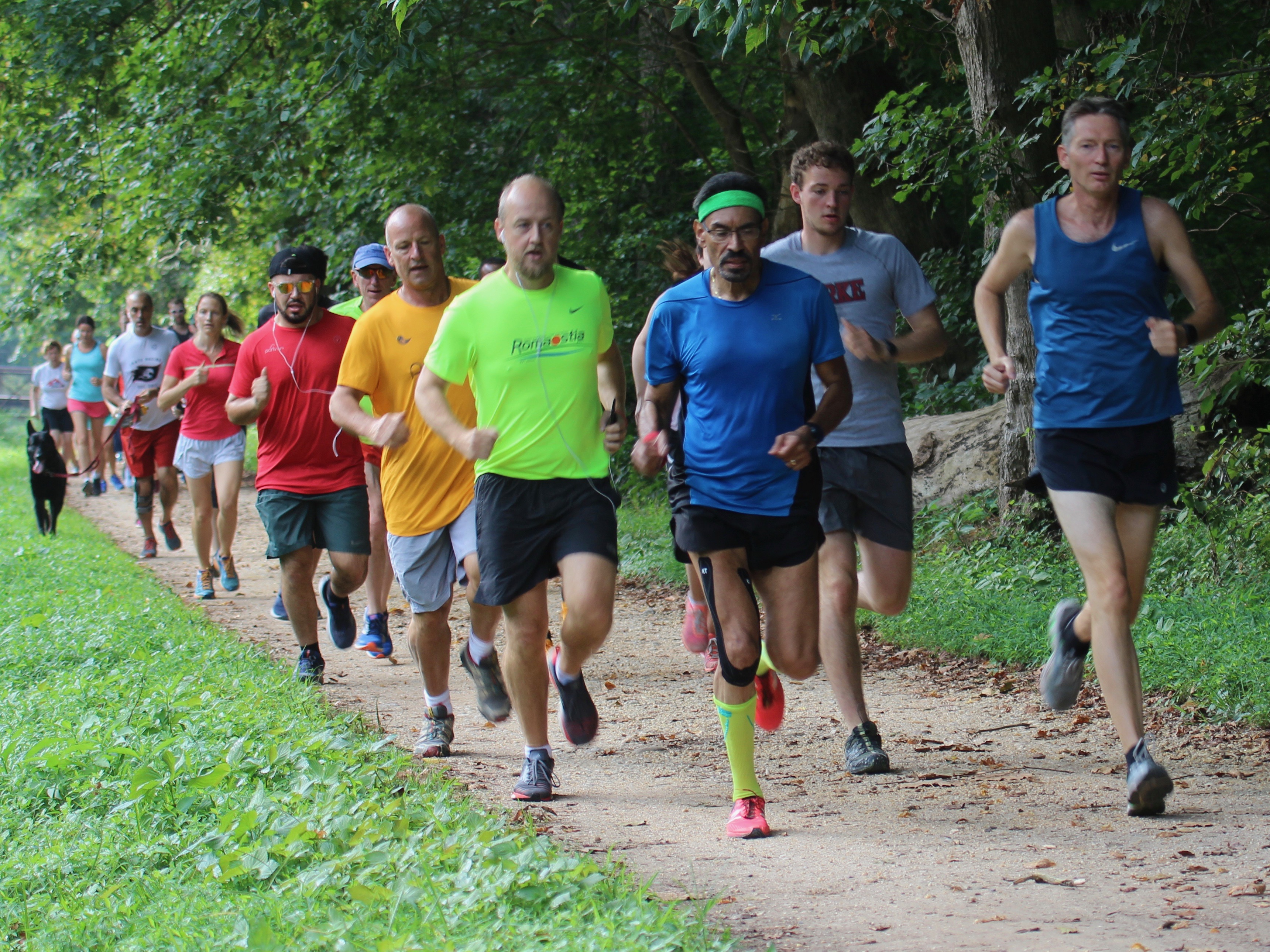 Run Report Fletcher’s Cove parkrun 182 August 17th, 2019